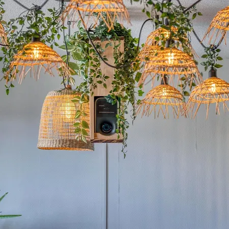 Апартаменты Le Jungle - Rocade - Grand Place *